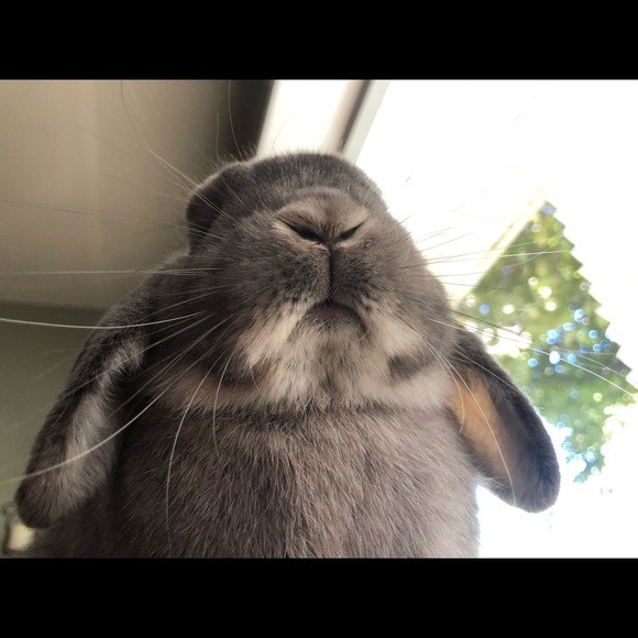 Meet your Posher, Maria - Picture 1 of 1